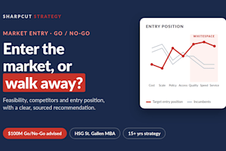 do a market entry feasibility study and go no go analysis for your business