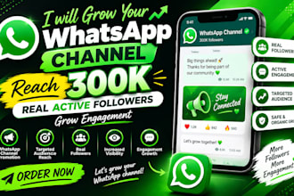 fast whatsapp growth hit 1m channel followers grow whatsapp promotion
