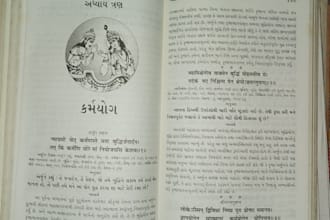 do professional sanskrit typing and translation devanagari data entry