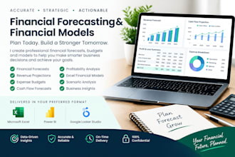 create financial forecasts, budgets and financial models