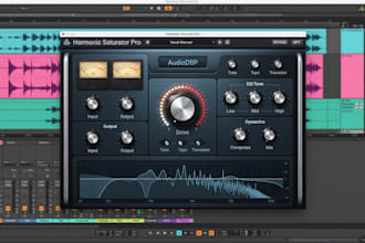 develop a vst, vst3, au audio plugin for windows and mac