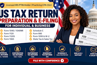 prepare and efile US tax returns for individual and business