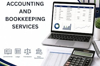 do basic bookkeeping and accounting data entry in excel