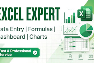 do professional excel data entry, formulas, dashboards and charts