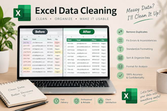 do data entry and data cleaning
