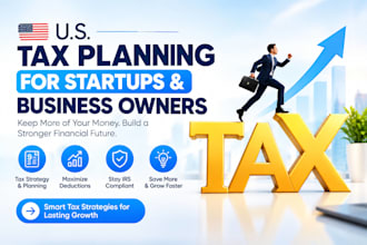 provide US tax planning for startups and business owners