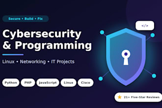 do cybersecurity and programming projects for you