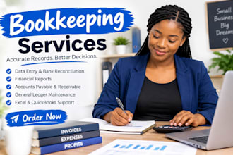 do financial record of your quick book xero book on excel