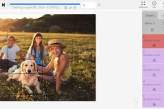 do image audio video annotations using cvat segmentations data labelling