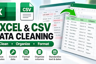 clean and organize your excel or CSV data