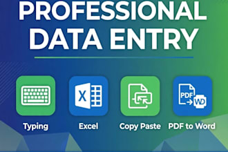 do professional data entry, typing work, and excel work