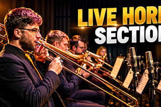 record professional trumpet, trombone or brass section for your song