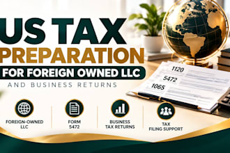 provide US tax preparation for foreign owned llc and business returns