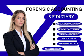 perform and review cpa forensic , fiduciary accounting and audit