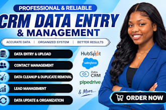 do crm data entry contact management database cleanup spreadsheet formating