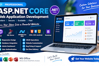 build a professional asp net core mvc web application