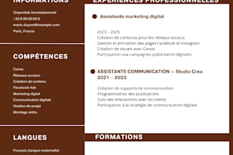 create a professional CV resume desing in canva