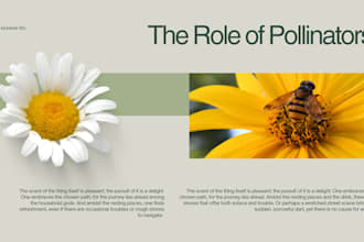 design modern powerpoint and canva presentations
