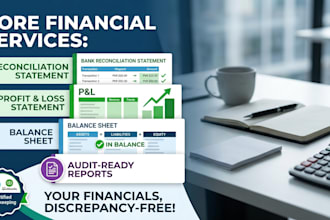 prepare professional financial statements and reports
