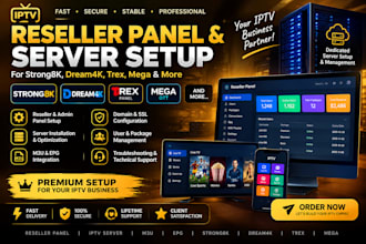 build a professional reseller panel server and API setup