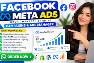 setup manage optimize facebook meta ads campaign and ads manager fb