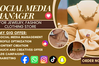 be your jewelry fashion social media marketing manager for christmas ad campaign