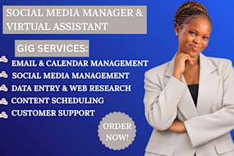 social media manager instagram branding executive virtual assistant ghl VA canva