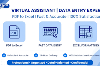 do fast data entry typing excel work and pdf conversion