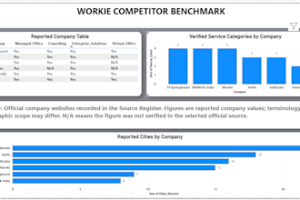 create a professional power bi dashboard