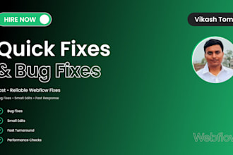 fix bugs and make quick edits on your webflow website