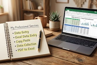 excel expert and data entry work