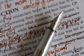 edit a creative writing project for you