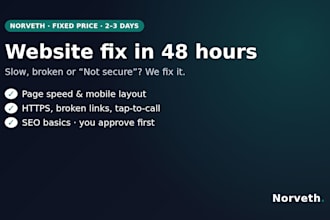fix your website bugs, speed and mobile issues