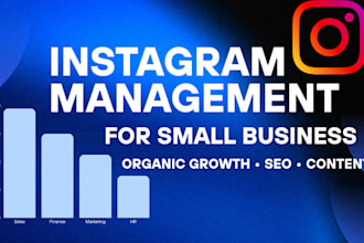 manage , grow and  SEO optimize your instagram page organically