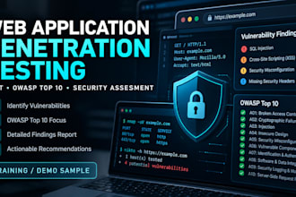 perform web application penetration testing and vapt