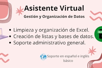 tu asistente virtual para captura de datos y organización de excel
