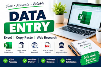 do data entry, copy paste, excel, word and PDF to exce