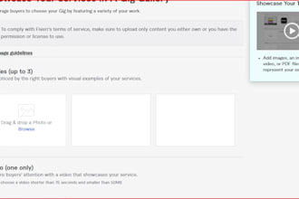 setup your business email