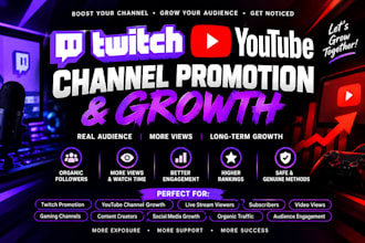 your twitch and youtube channel to targeted audiences