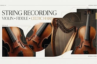 record violin, fiddle, celtic harp, celtic fiddle for your track