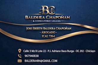 provide professional legal advice and drafting