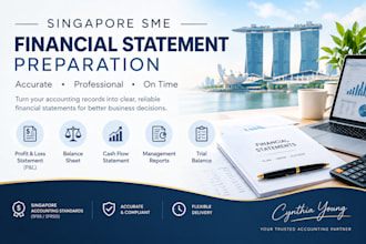 prepare professional financial statements for singapore smes