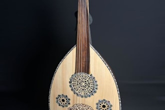 record oud bouzouki, cumbus saz harp sitar,tar baglama dotar, lyre,santur esraj