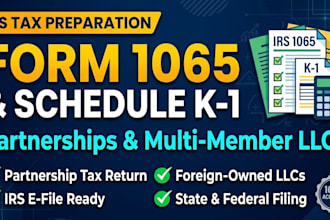 prepare and e file your US business tax return form 1065 and schedule k1