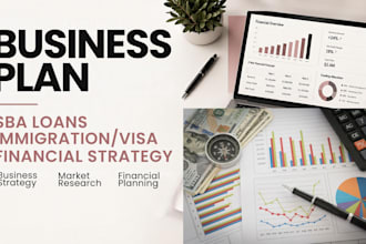 write a professional business plan, financial projections and funding strategy