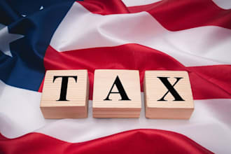 prepare and file your US tax return for individuals and businesses