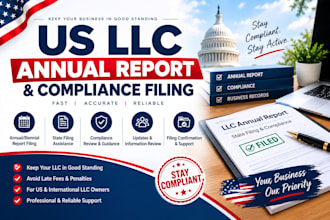 file your US llc annual report and help maintain compliance