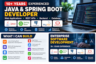 develop a professional java spring boot web application or rest API