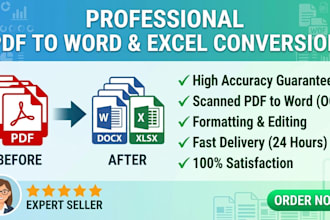 do professional data entry and file conversion