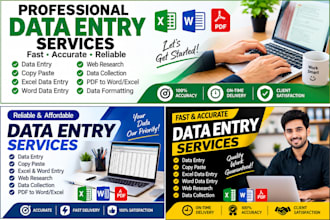 do professional data entry copy paste and web research